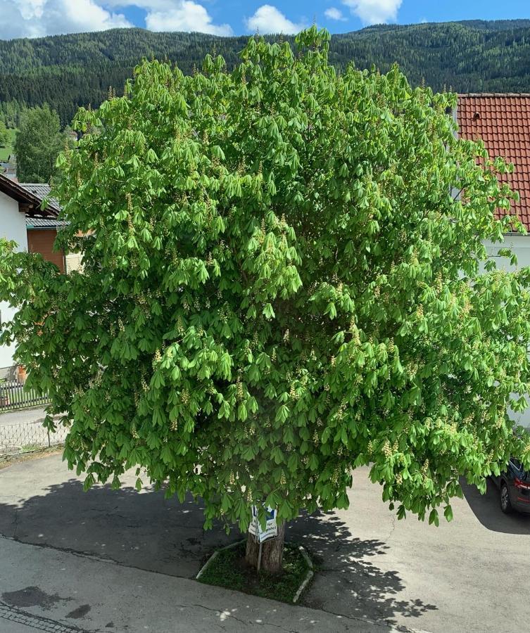 Landgasthof Zur Post Hotel Mitterdorf im Mürztal Kültér fotó